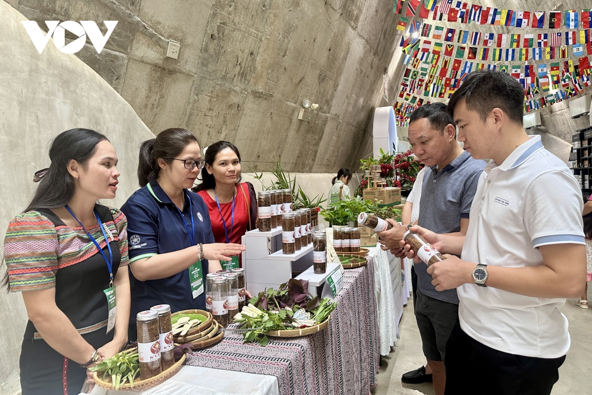 Khởi nghiệp từ tài nguyên bản địa - lợi thế của miền Trung - Tây Nguyên